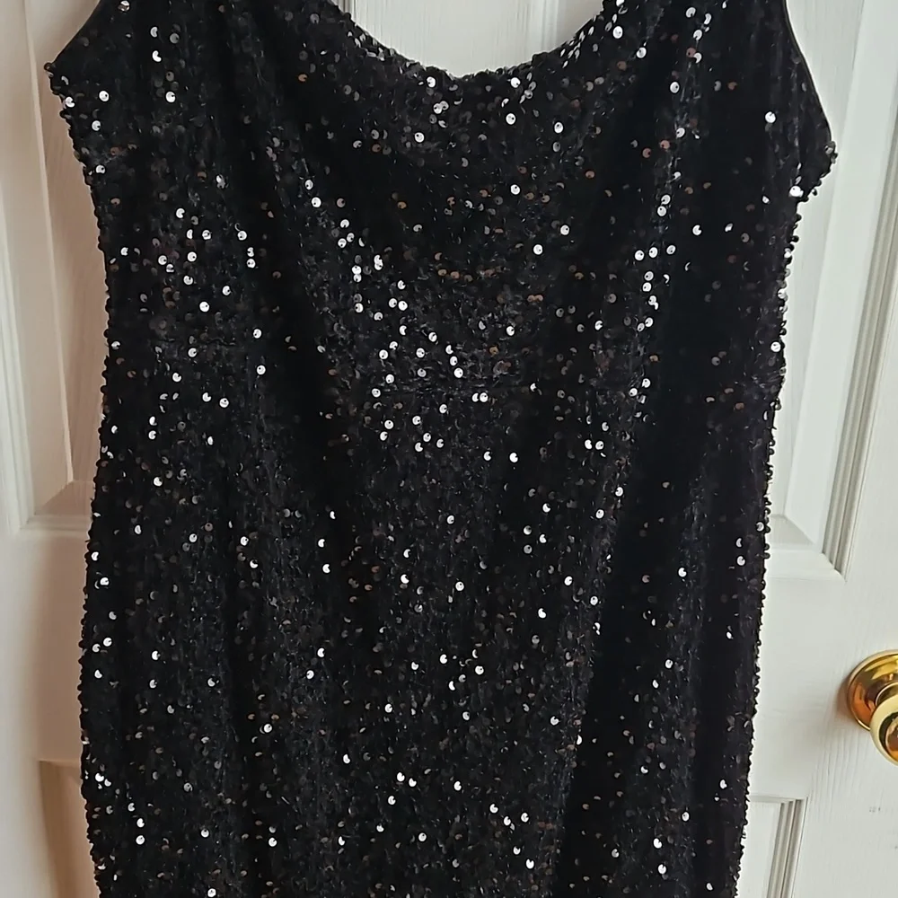 Beautiful velvet sequin dress NEW - Picture 7 of 7